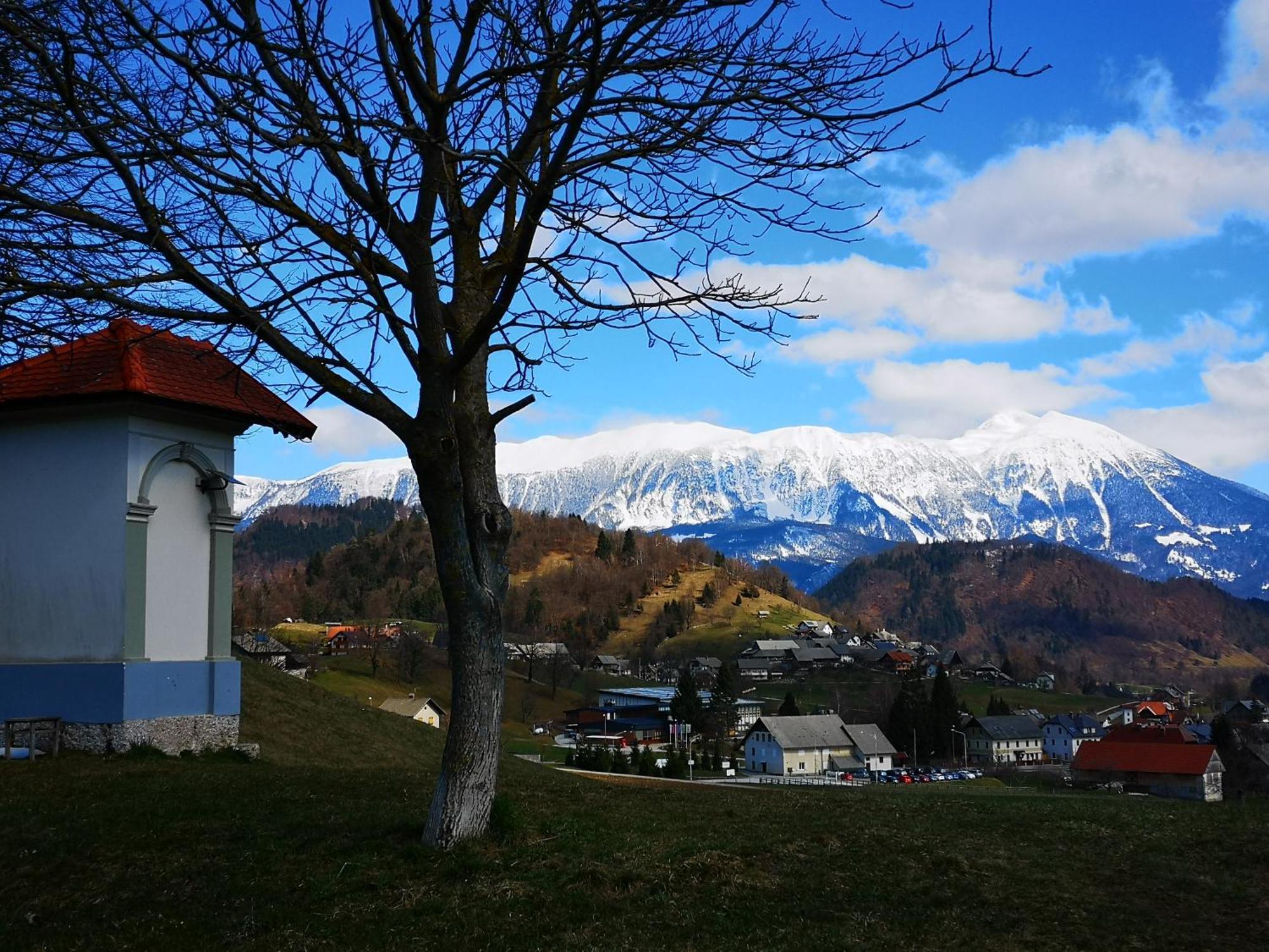 Apartmaji Volf Zgornje Gorje Exterior foto