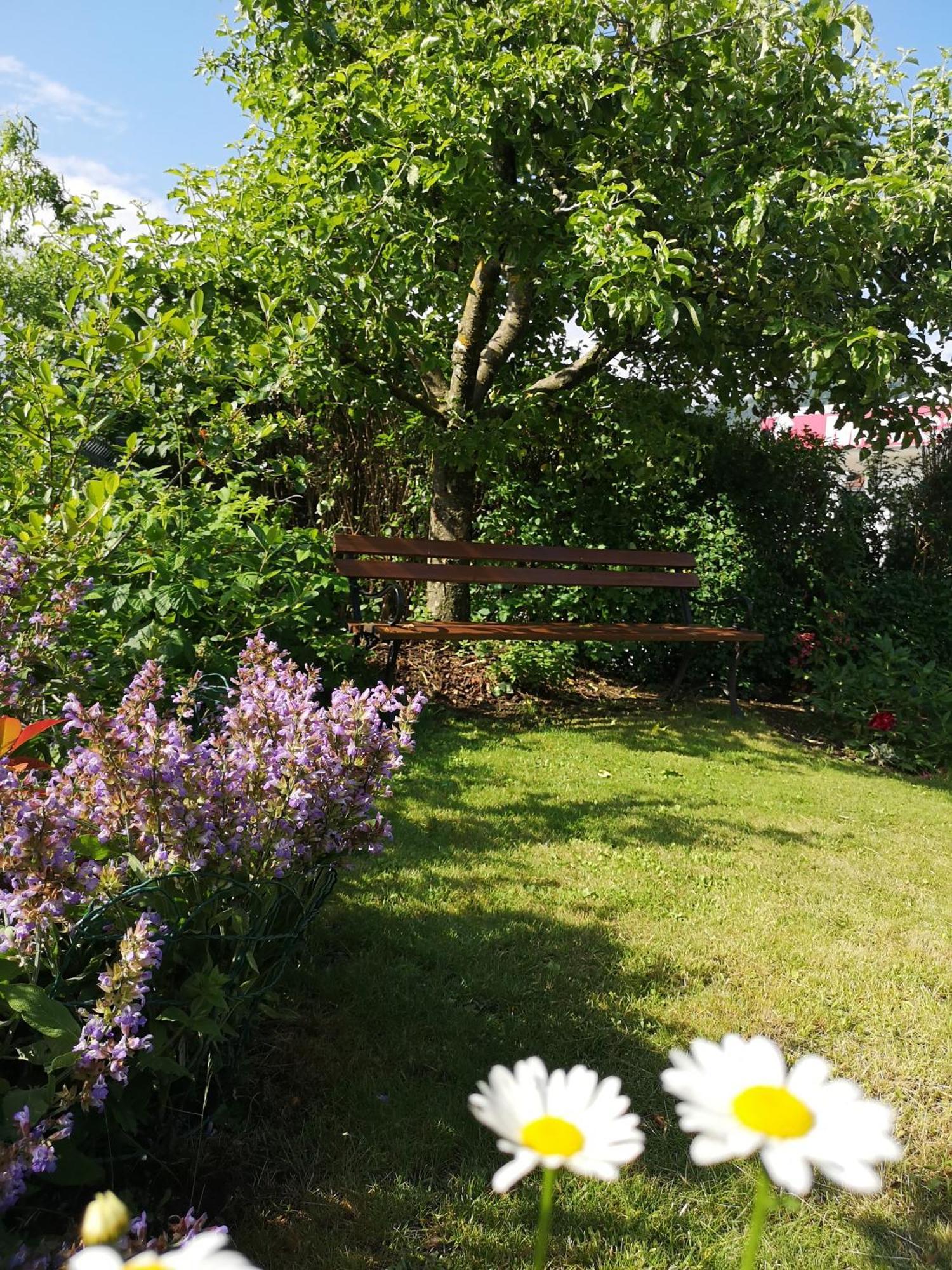 Apartmaji Volf Zgornje Gorje Cameră foto