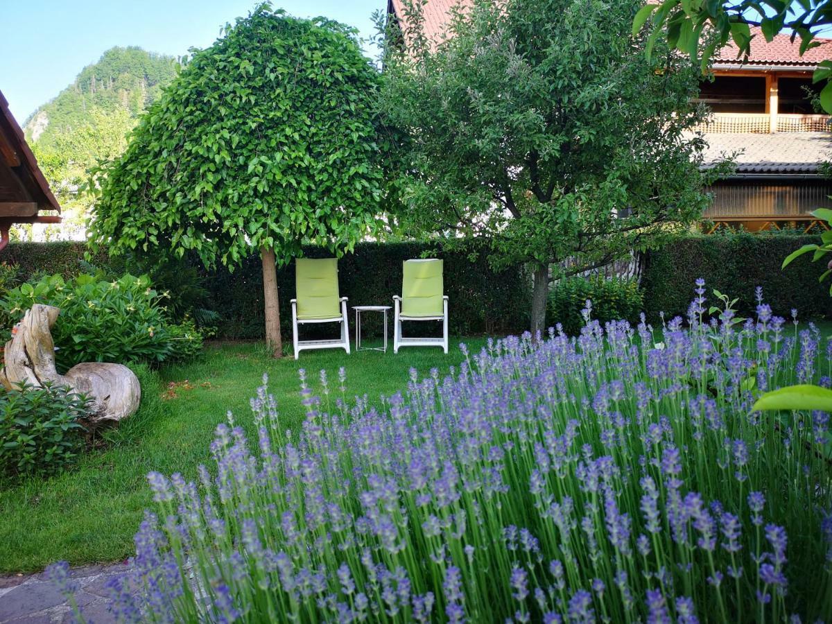 Apartmaji Volf Zgornje Gorje Exterior foto